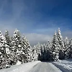 Mitterhaidgut Daire Hollersbach im Pinzgau