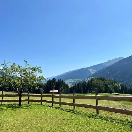 Mitterhaidgut
