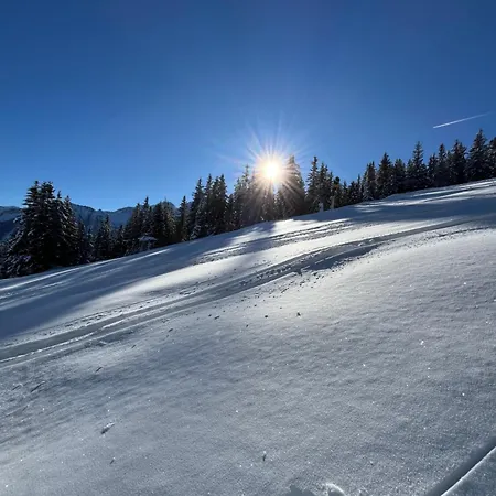Mitterhaidgut Hollersbach im Pinzgau
