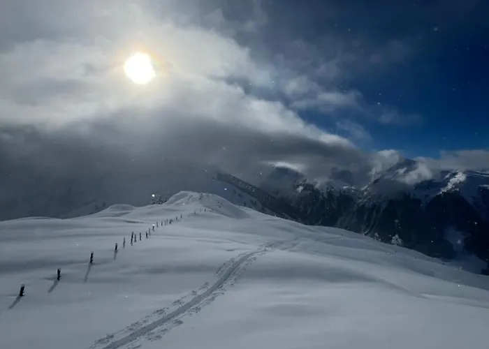 Appartement Mitterhaidgut Hollersbach im Pinzgau