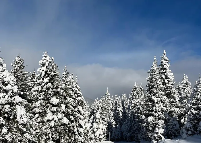 Mitterhaidgut 公寓 胡勒斯巴赫平