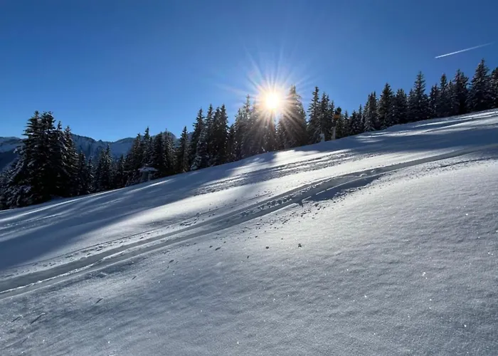 Mitterhaidgut Hollersbach im Pinzgau