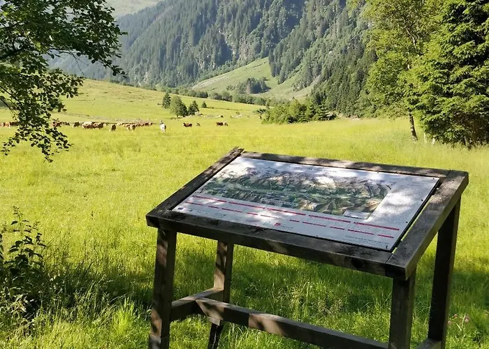 Mitterhaidgut Appartement Hollersbach im Pinzgau